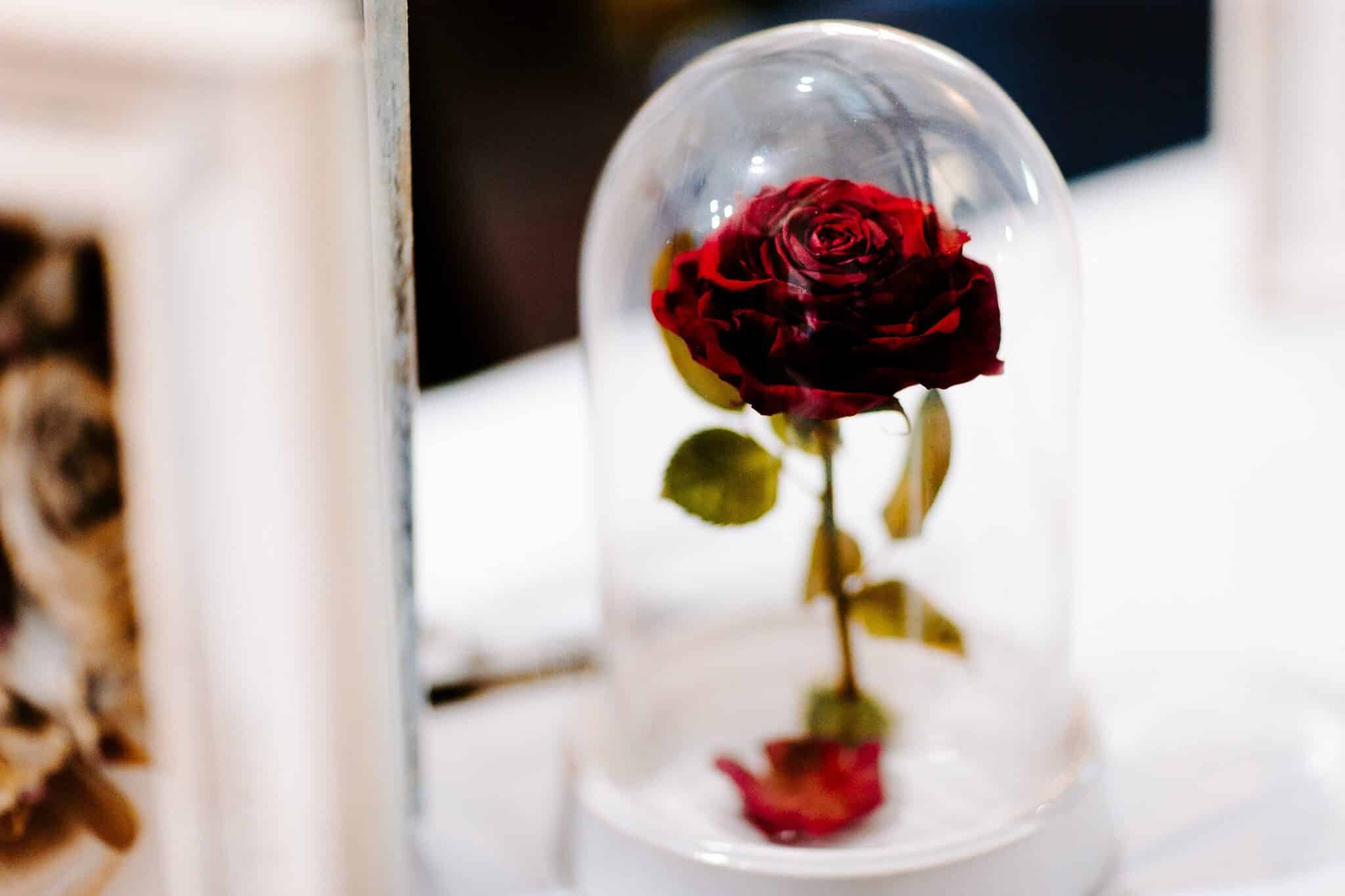 Wedding Expo Australia 3